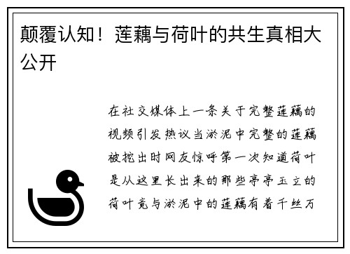 颠覆认知！莲藕与荷叶的共生真相大公开